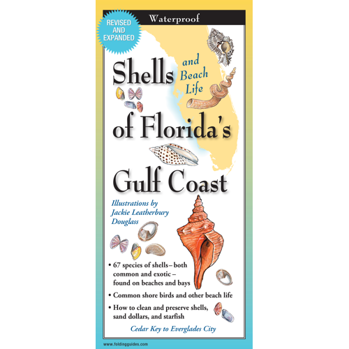 Sibley's Shells of Florida’s Gulf Coast FoldingGuide™