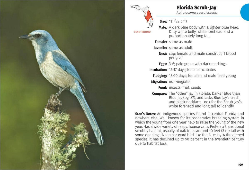 Birds of Florida Field Guide 3rd Edition