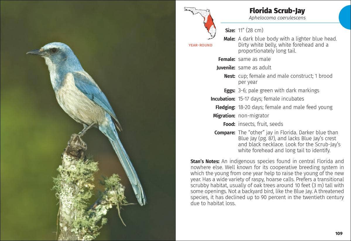 Birds of Florida Field Guide 3rd Edition