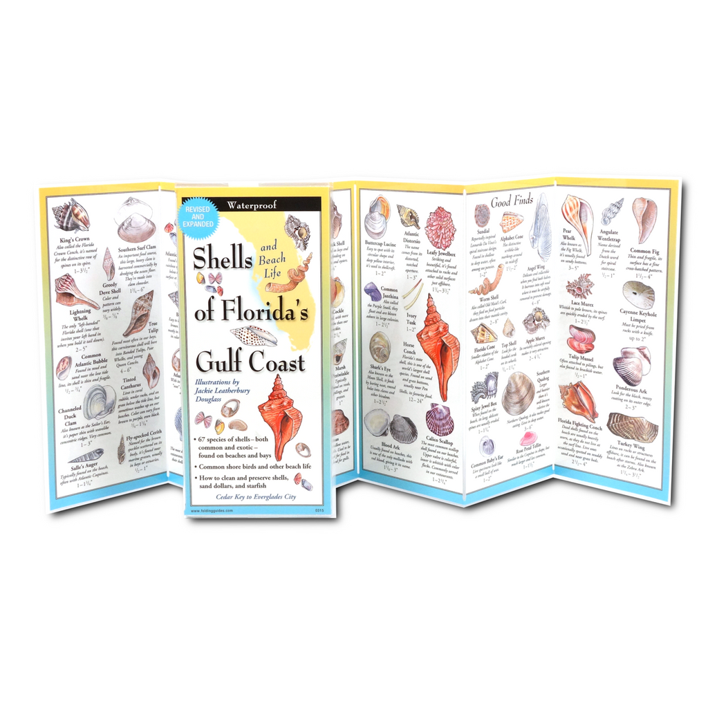 Sibley's Shells of Florida’s Gulf Coast FoldingGuide™