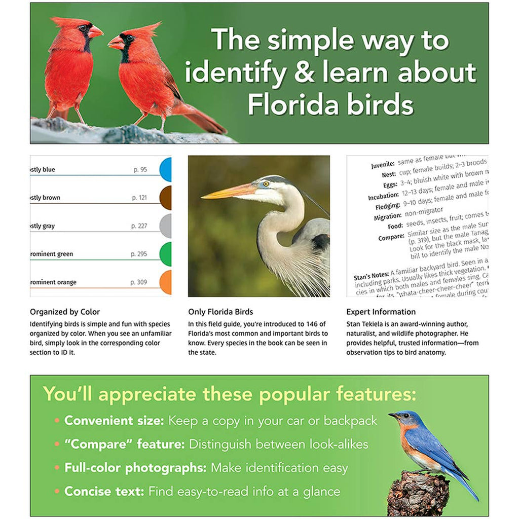 Kids' Guide to Birds of Florida