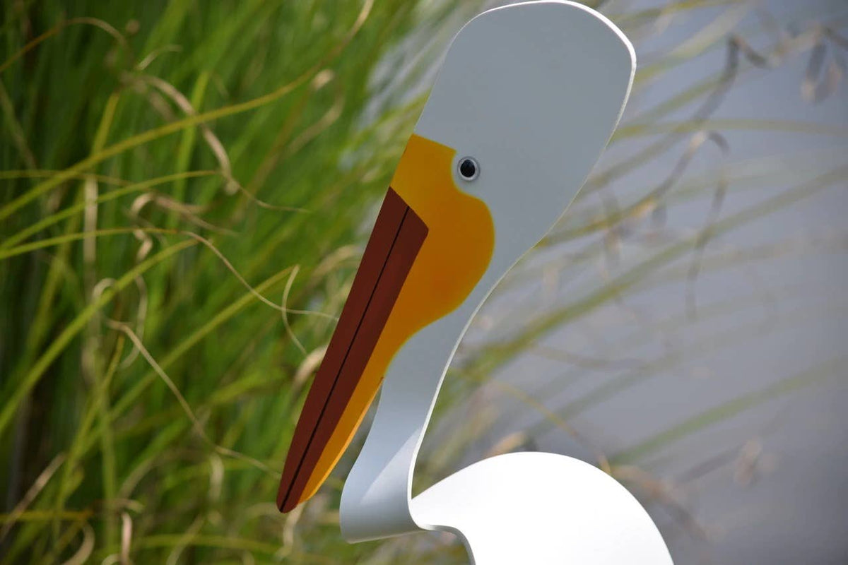 American White Pelican