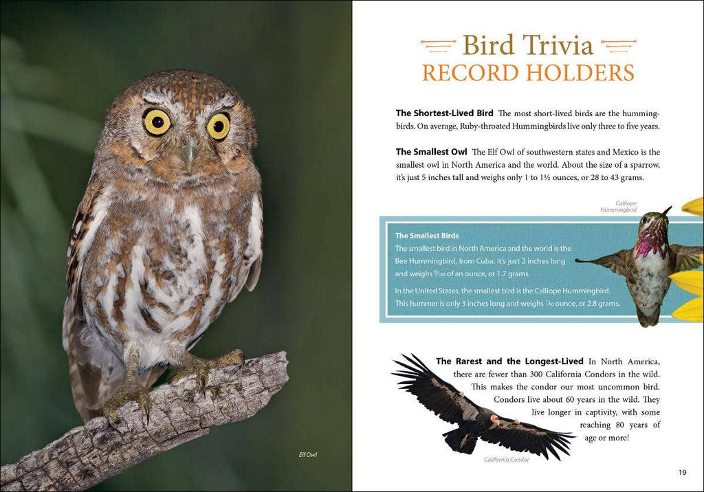 Bird Trivia