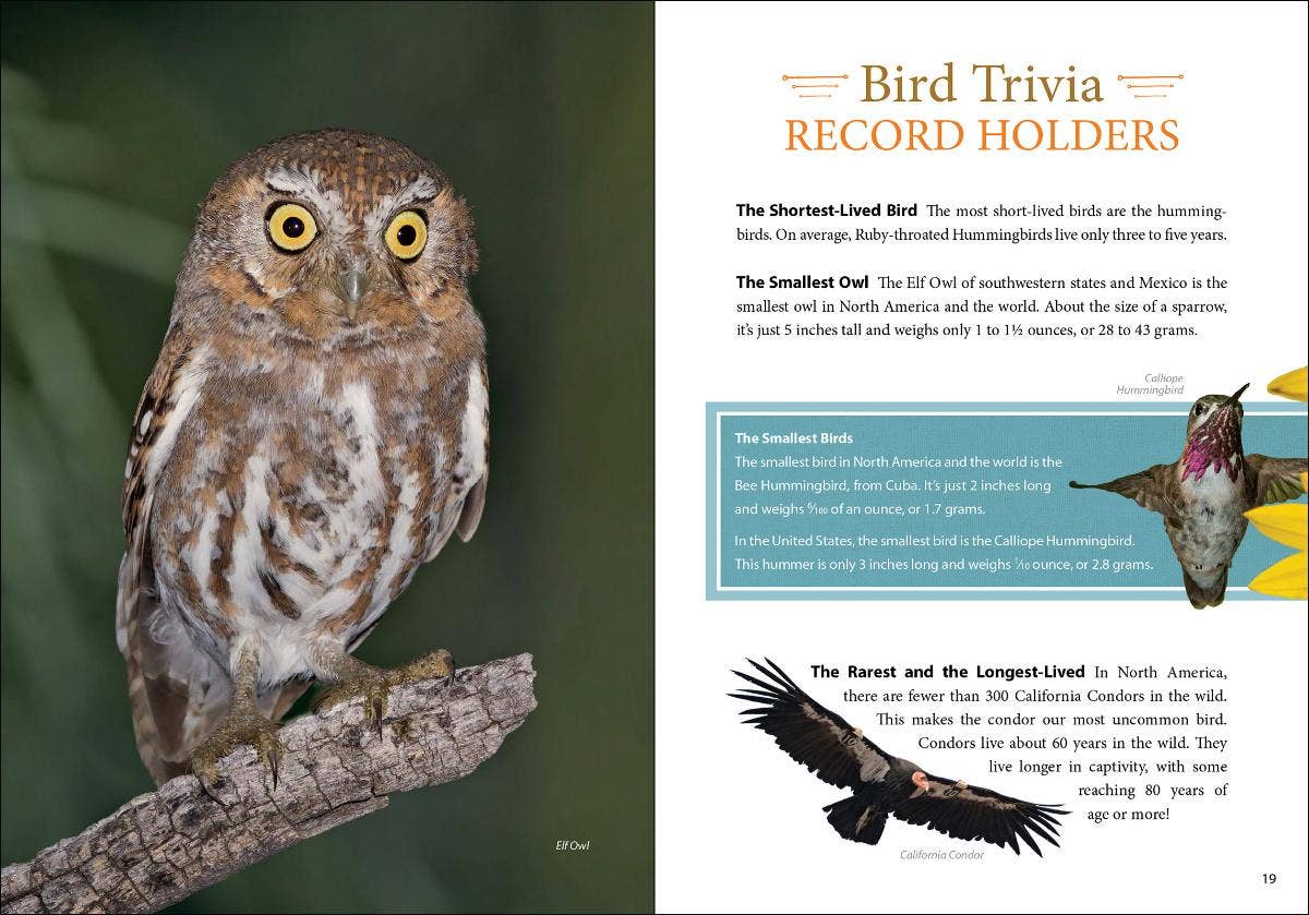 Bird Trivia