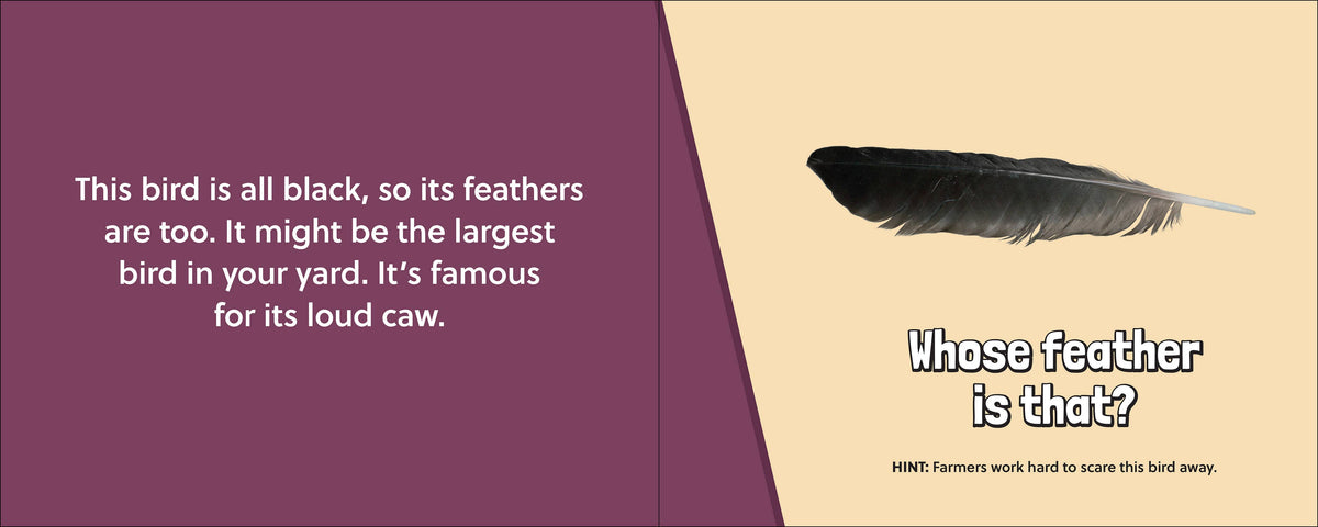 Whose Feather Is That?