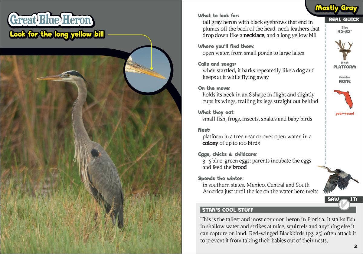 Kids' Guide to Birds of Florida