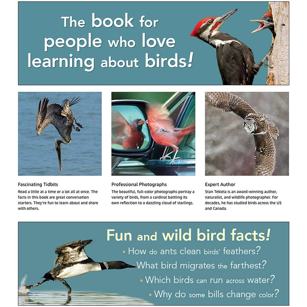 Bird Trivia