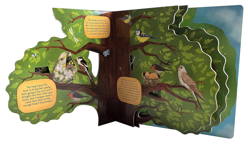 Discovering the World of Bird Nests -Children's Picture Book