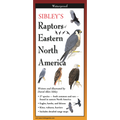 Sibley's Raptors of Eastern North America FoldingGuide™