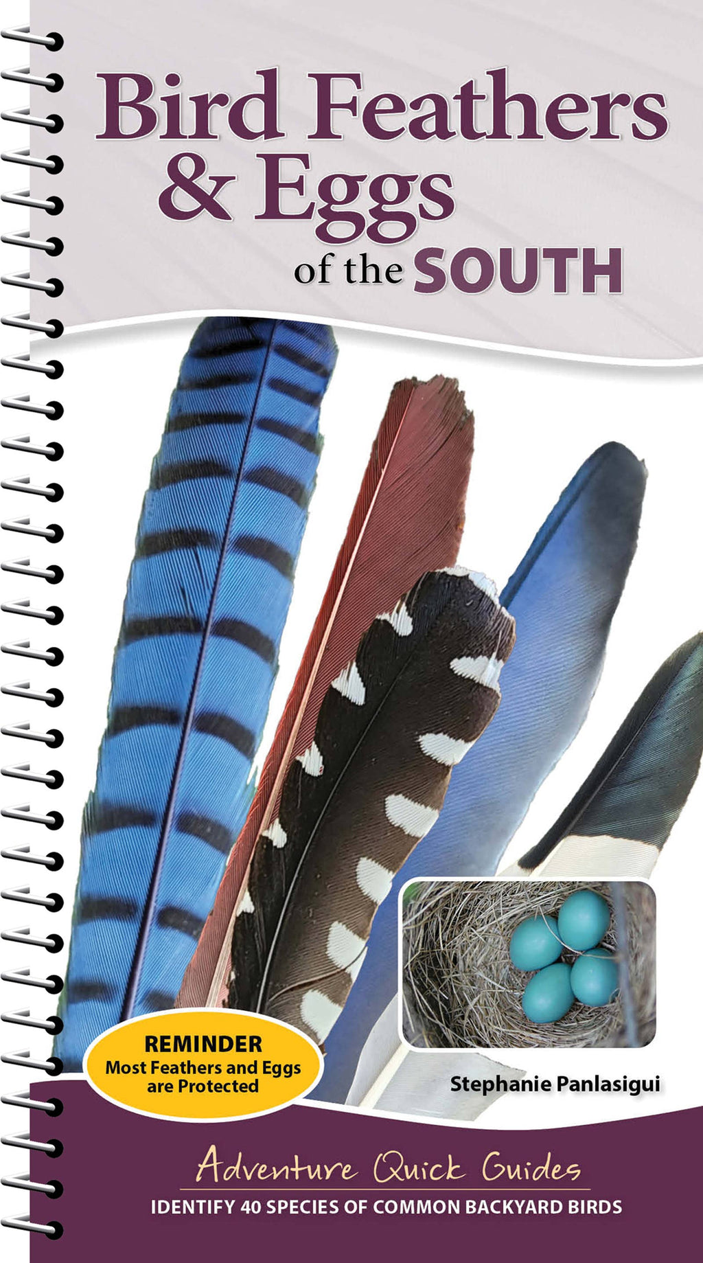 Bird Feathers & Eggs of the South Quick Guide