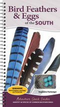 Bird Feathers & Eggs of the South Quick Guide