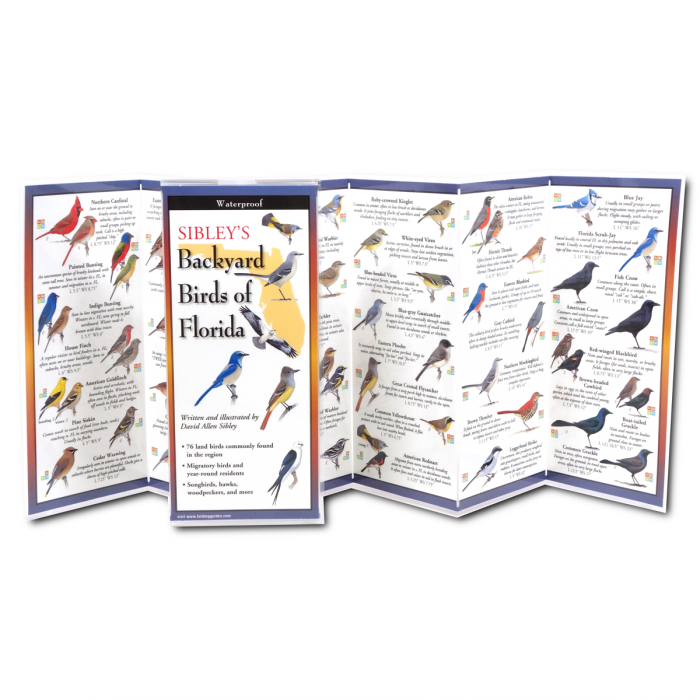 Sibley's Backyard Birds of Florida FoldingGuide™