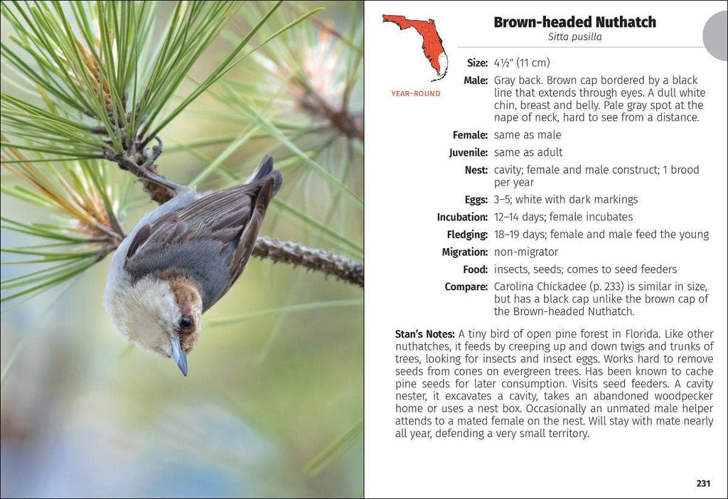Birds of Florida Field Guide 3rd Edition