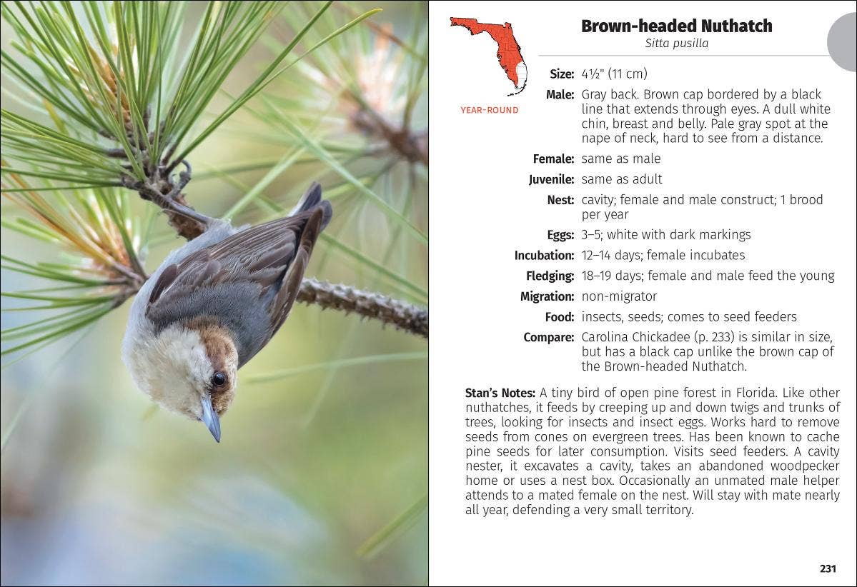 Birds of Florida Field Guide 3rd Edition