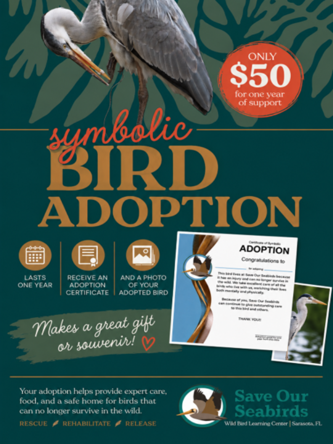 Annual Symbolic Bird Adoption
