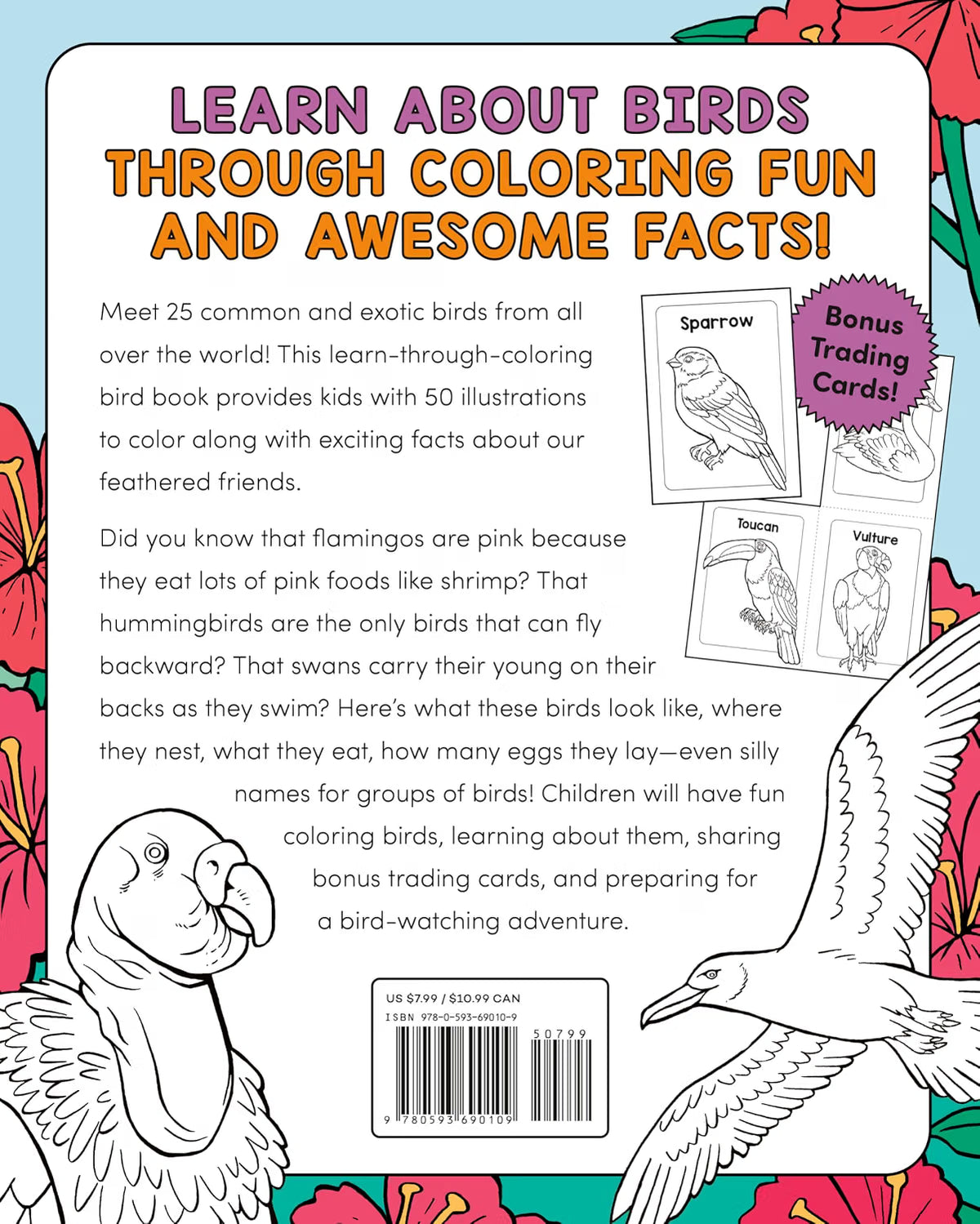 Bird Book For Kids
