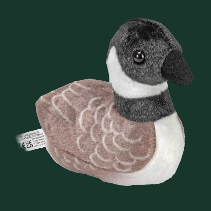 Audubon Birds With Real Bird Calls