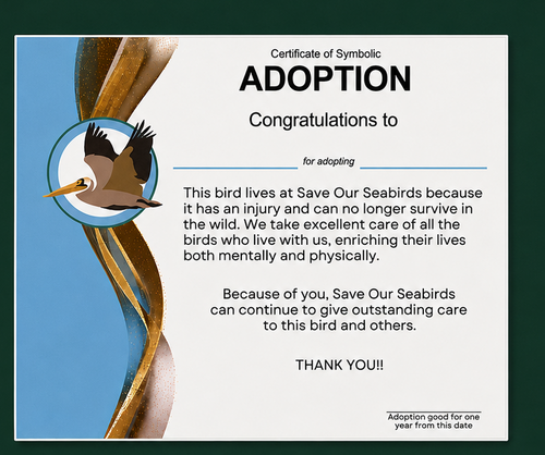 Annual Symbolic Bird Adoption