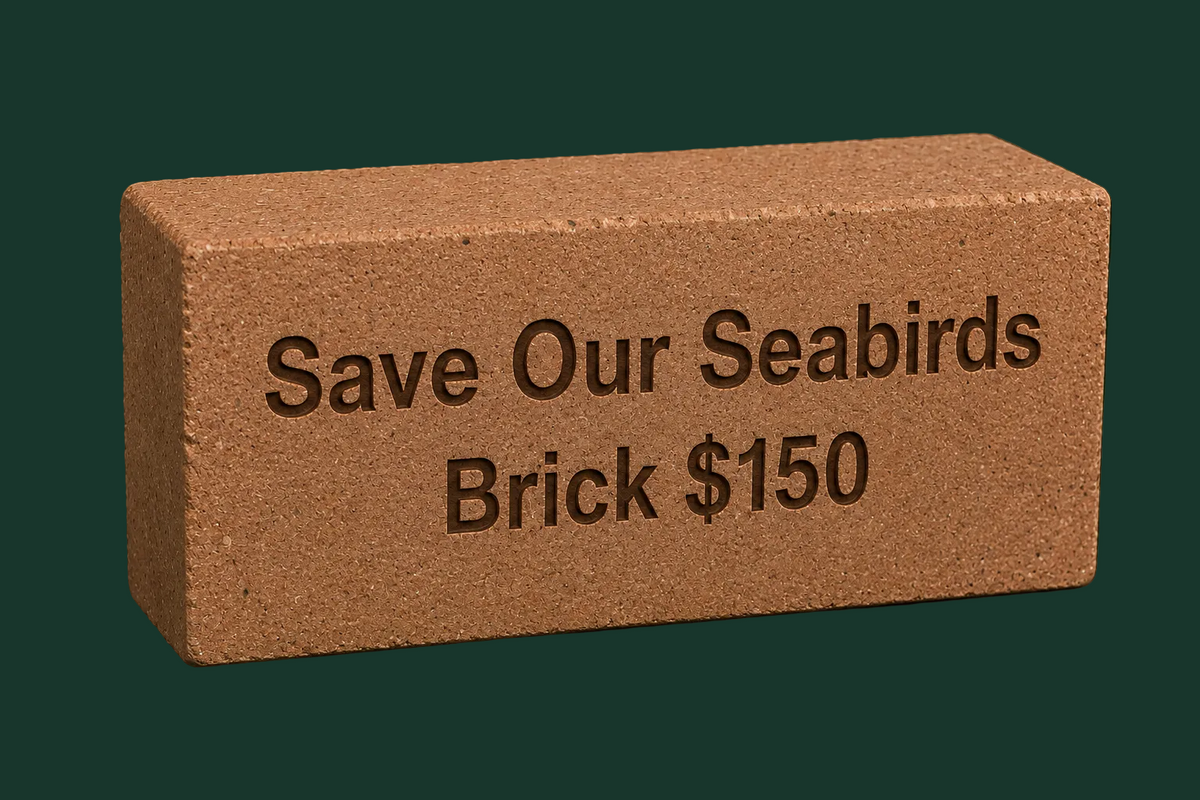 Commemorative Brick