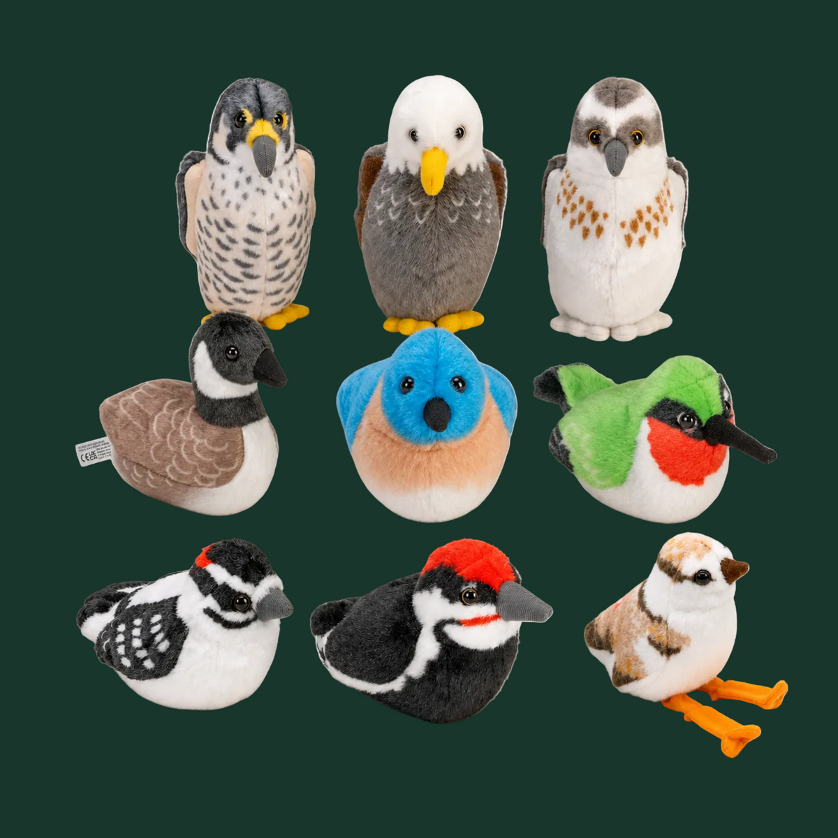 Audubon Birds With Real Bird Calls