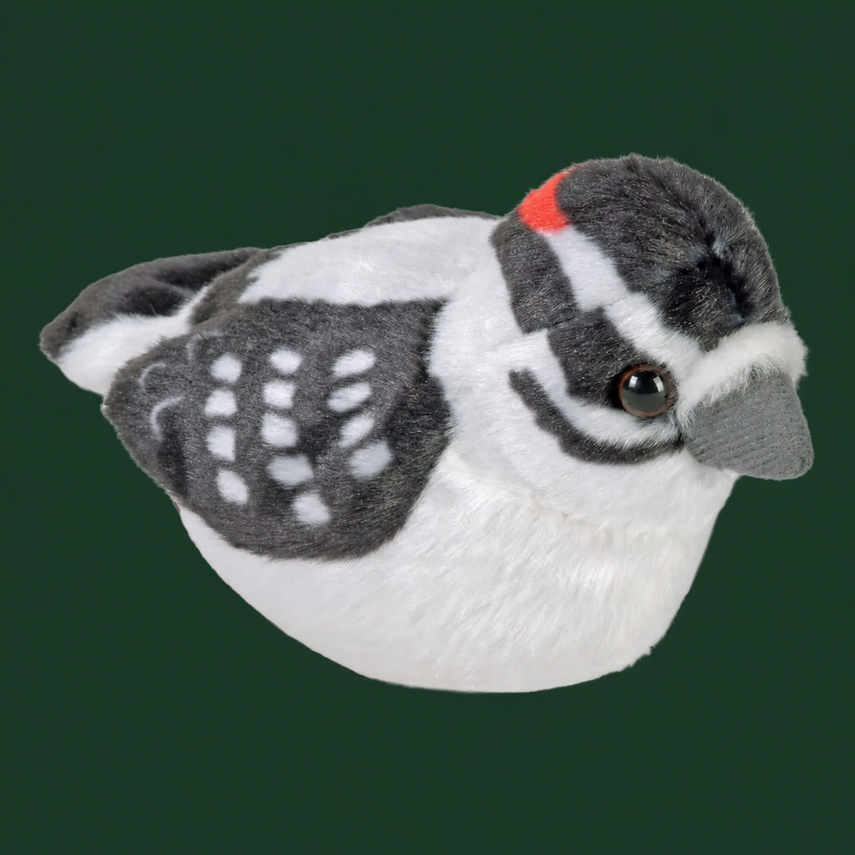 Audubon Birds With Real Bird Calls