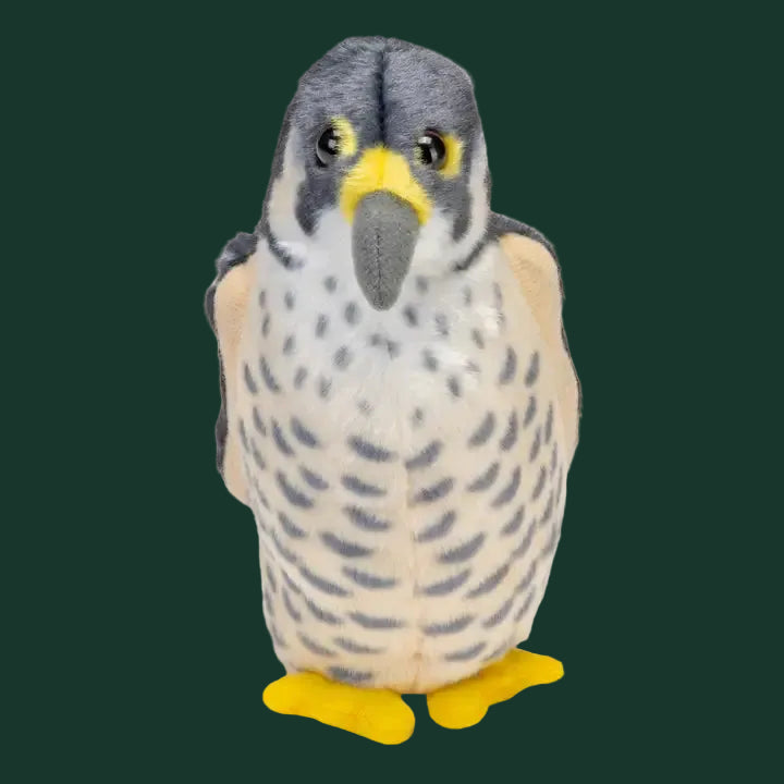 Audubon Birds With Real Bird Calls