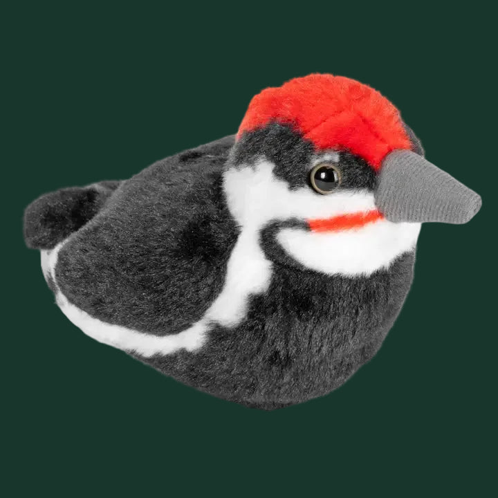Audubon Birds With Real Bird Calls