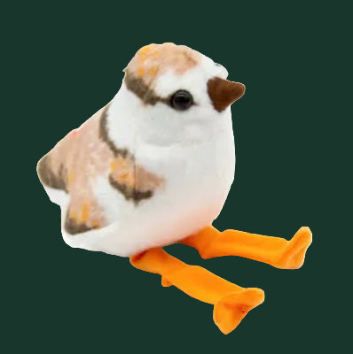 Audubon Birds With Real Bird Calls