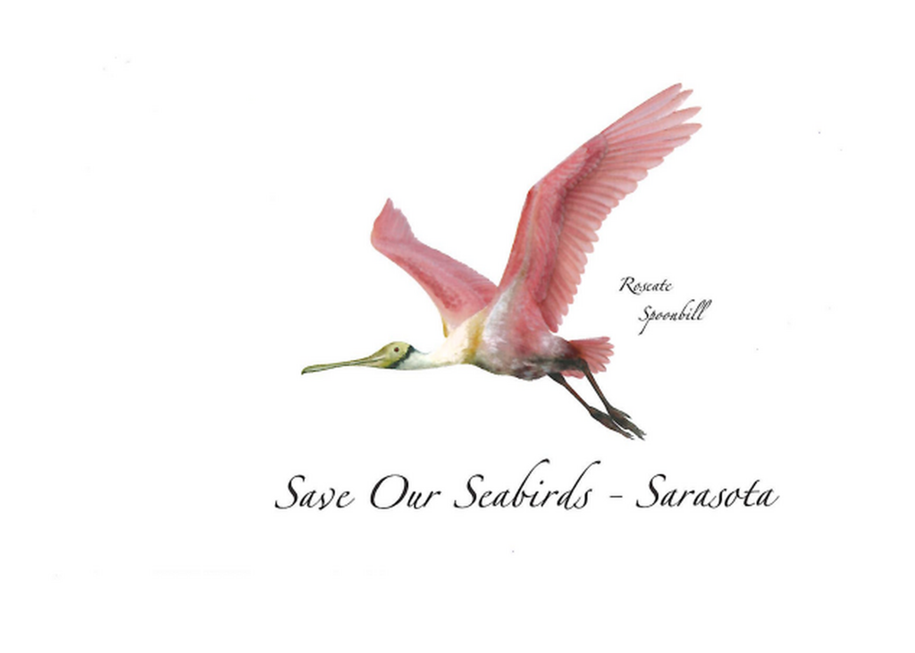 Roseate Spoonbill  Greeting Card