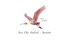 Roseate Spoonbill  Greeting Card