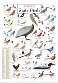 Sibley's State Bird Poster