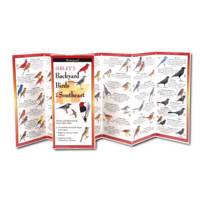 Sibley's Backyard Birds of Southeast FoldingGuide™