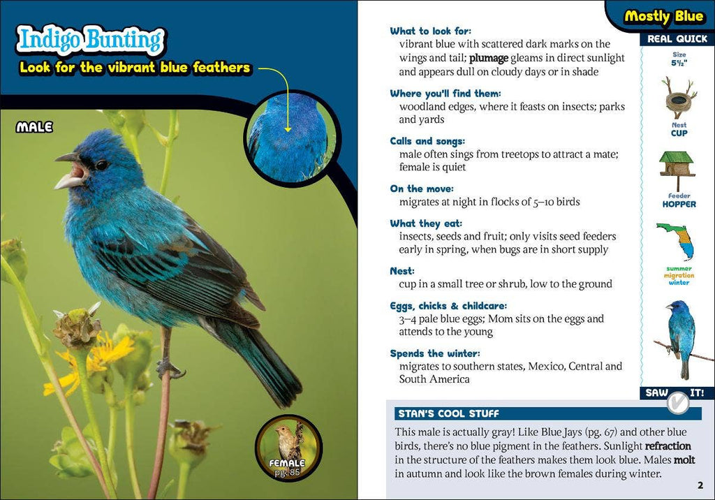 Kids' Guide to Birds of Florida
