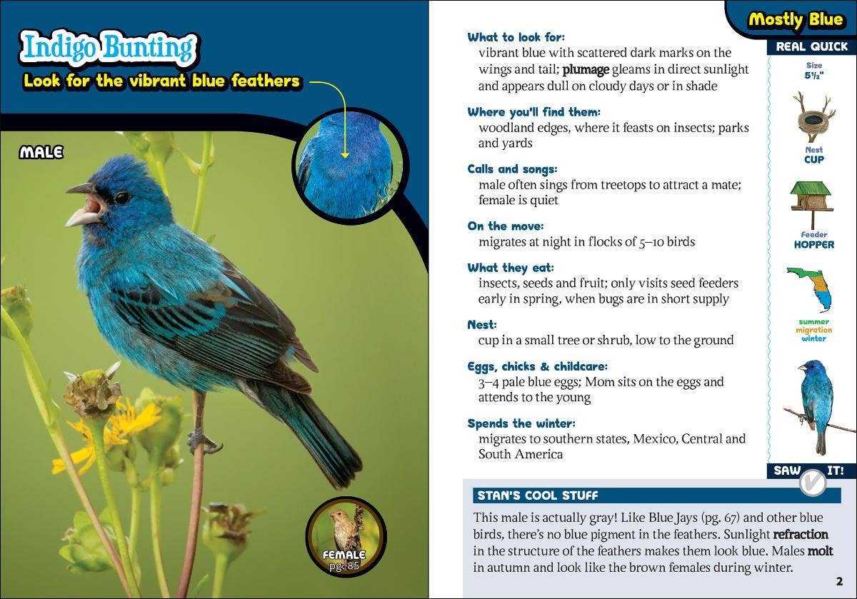 Kids' Guide to Birds of Florida