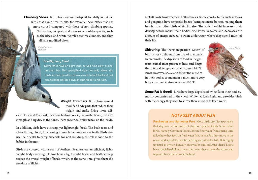 Bird Trivia