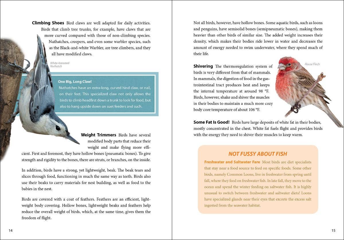 Bird Trivia