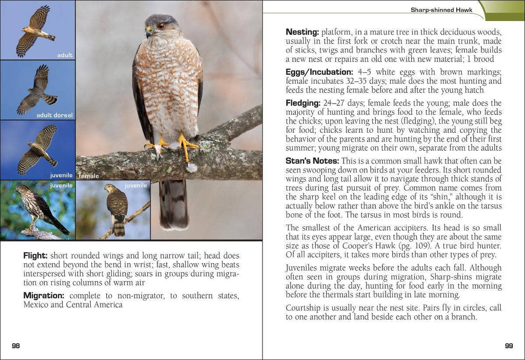 Birds of Prey of the South Field Guide