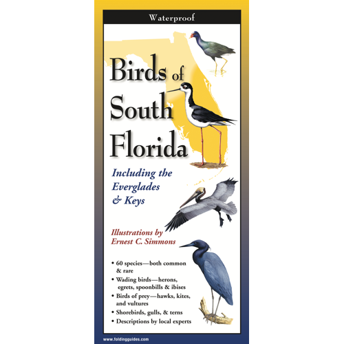 Birds of South Florida