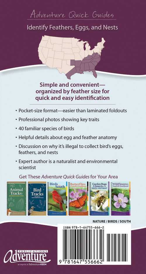 Bird Feathers & Eggs of the South Quick Guide