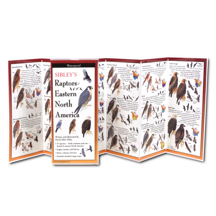 Sibley's Raptors of Eastern North America FoldingGuide™