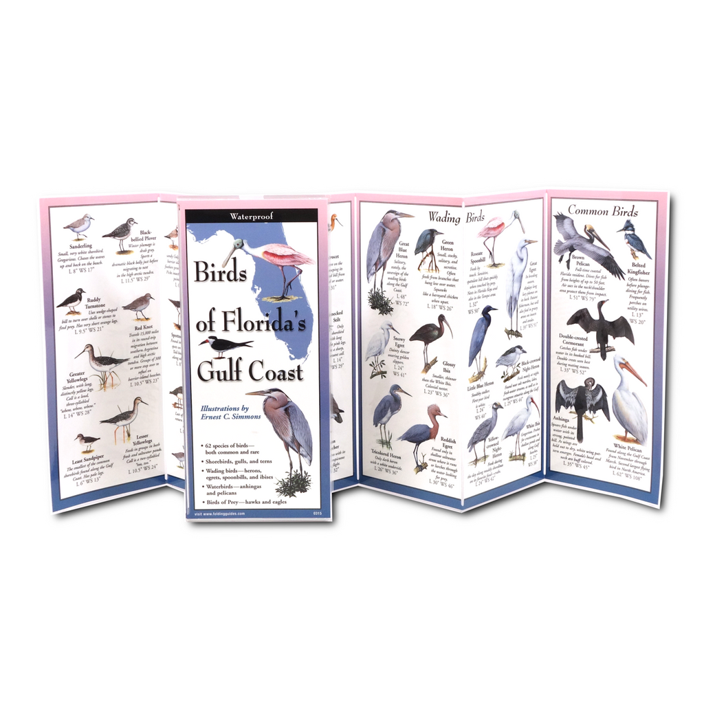 Birds of Florida's Gulf Coast FoldingGuide™