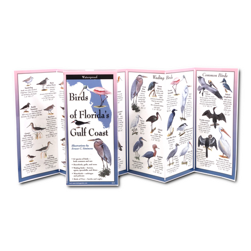 Birds of Florida's Gulf Coast FoldingGuide™