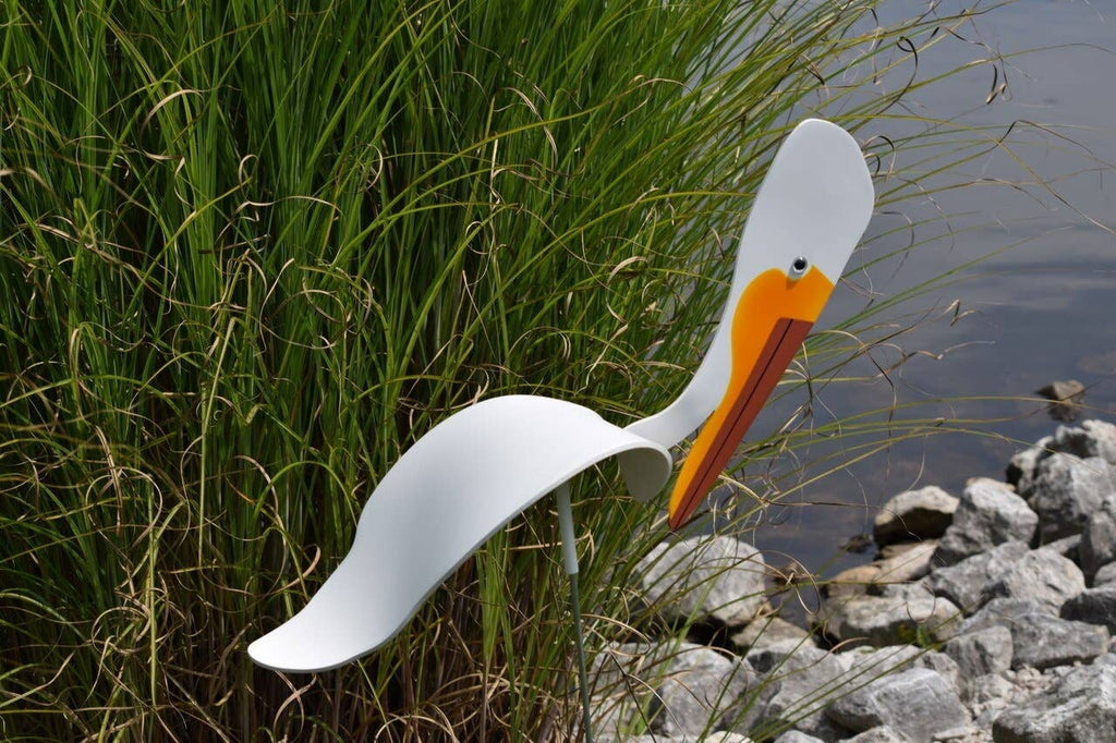 American White Pelican