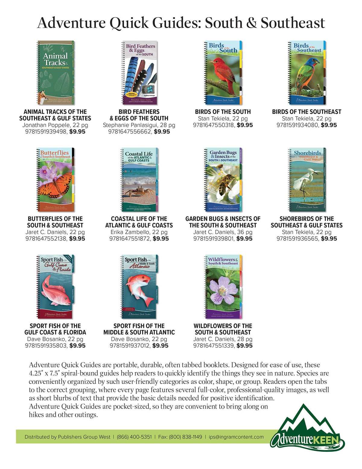 Bird Feathers & Eggs of the South Quick Guide