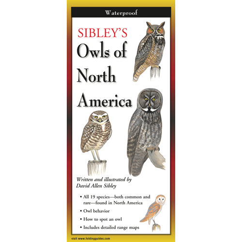 Sibley's Owls of North America FoldingGuide™